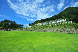 [포항영일만신항] 울릉도 독도4일 ＜대형크루즈/선박텔/라페루즈리조트/육로A,B코스/올식사포함＞