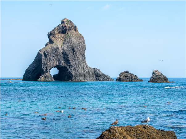 [포항영일만신항/4도탐방] 울릉도 독도 죽도 관음도 4일 ＜크루즈/모텔급/육로완전일주＞