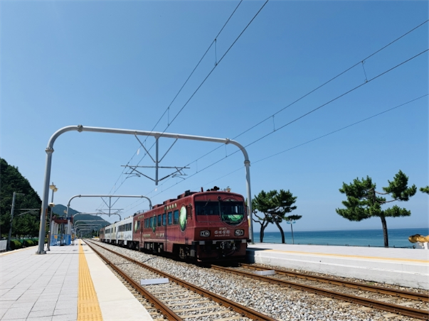 [집중모객]강원도 강릉 동해 당일여행 ＜해안선기차여행＞