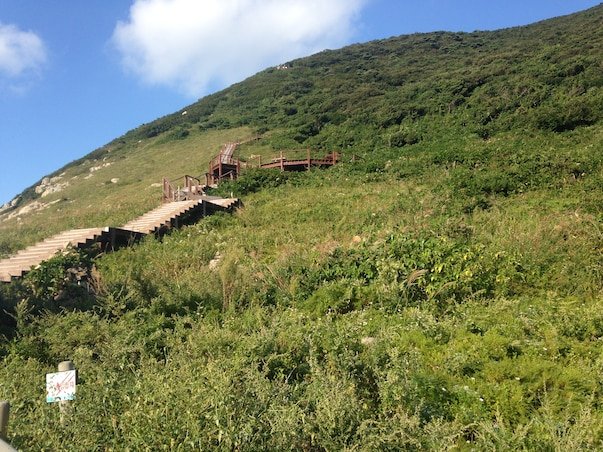 [KTX/목포항] 홍도 흑산도 비금도초도 3일 ＜쾌속선/모텔급/홍도유람선/비금도초도 육로관광＞