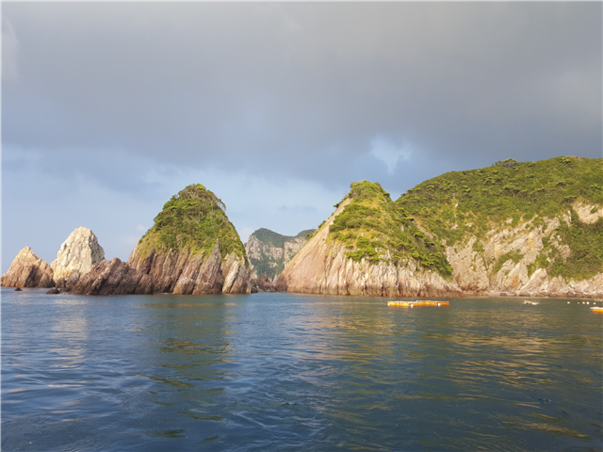 [KTX/목포항] 홍도 흑산도 비금도초도 3일 ＜쾌속선/모텔급/홍도유람선/비금도초도 육로관광＞