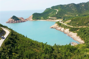 [SRT/목포항] 홍도 흑산도 비금도초도 3일 ＜쾌속선/모텔급/홍도유람선/비금도초도 육로관광＞