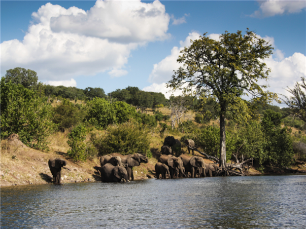 [KE비즈니스탑승]아프리카 6국+두바이 15일 ＜7대 Real사파리/빅토리아폭포/5성호텔/테이블마운틴/두바이베르사체호텔＞