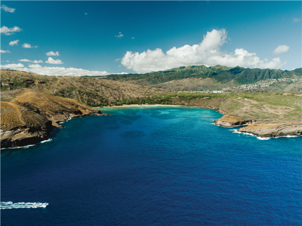 [슬림][관광1일+자유3일] 특급 힐튼 가든 인 ＜시티뷰＞ 하와이 6일