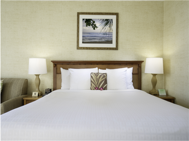 [스페셜][관광2일+자유3일] 일급 와이키키리조트 ＜시티뷰＞ 하와이 7일