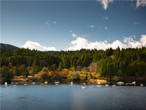 [출발확정][NEW시즈오카] 후지산/하코네/시즈오카/도쿄/오다이바 4일(전일관광/온천호텔1박/트윈룸)