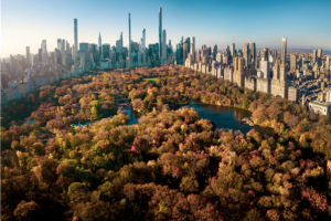 [조성진 카네기홀 리사이틀] 클래식 읽어주는 남자와 함께 떠나는 뉴욕 클래식 문화 여행 7일＜맨하튼 숙박/브로드웨이 뮤지컬/도슨트 투어/오페라 관람＞