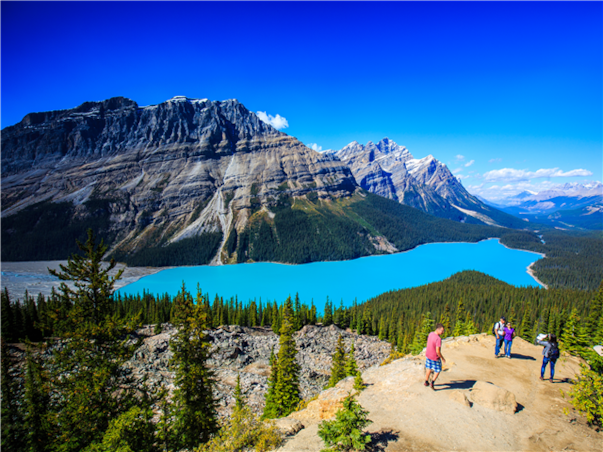 [밴쿠버 직항] 캐나다 로키 밴프 7일 ＜밴프숙박/밴프곤돌라/뷔페포함＞
