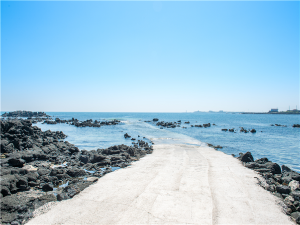 [섬속의힐링] 제주도 우도 3일 ＜노옵션/특식4회/곶자왈/사려니숲길/신신호텔＞