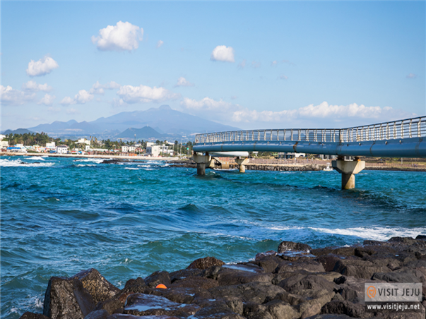 [대구출발][모두단독] 제주도 가족추천 3일 ＜노팁/노옵션/981파크/테마파크/4명부터출발확정＞