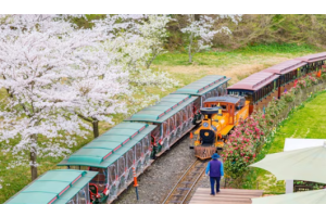 [골프72홀+핵심관광] 제주 힐링 파크골프 1박 2일